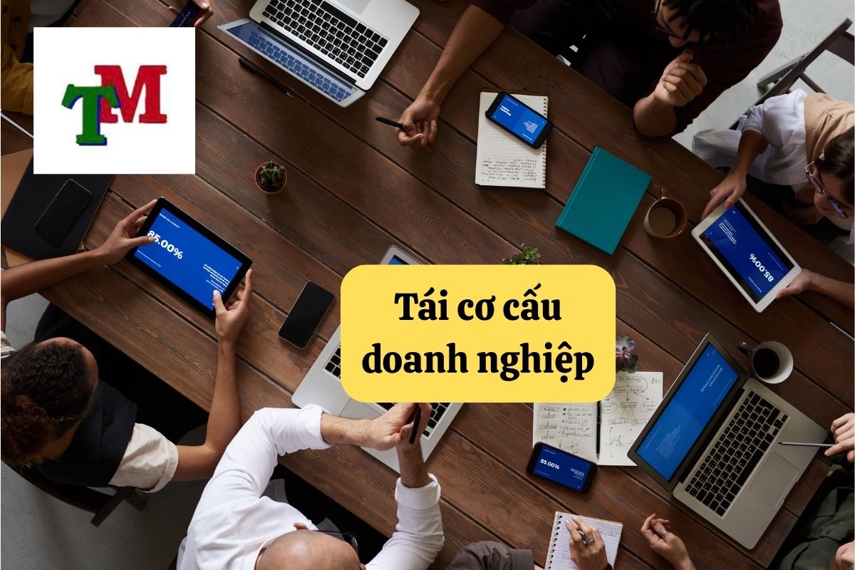 Tái cơ cấu doanh nghiệp – Hành trình sống còn cần nền tảng pháp lý vững chắc 1 4.6.9