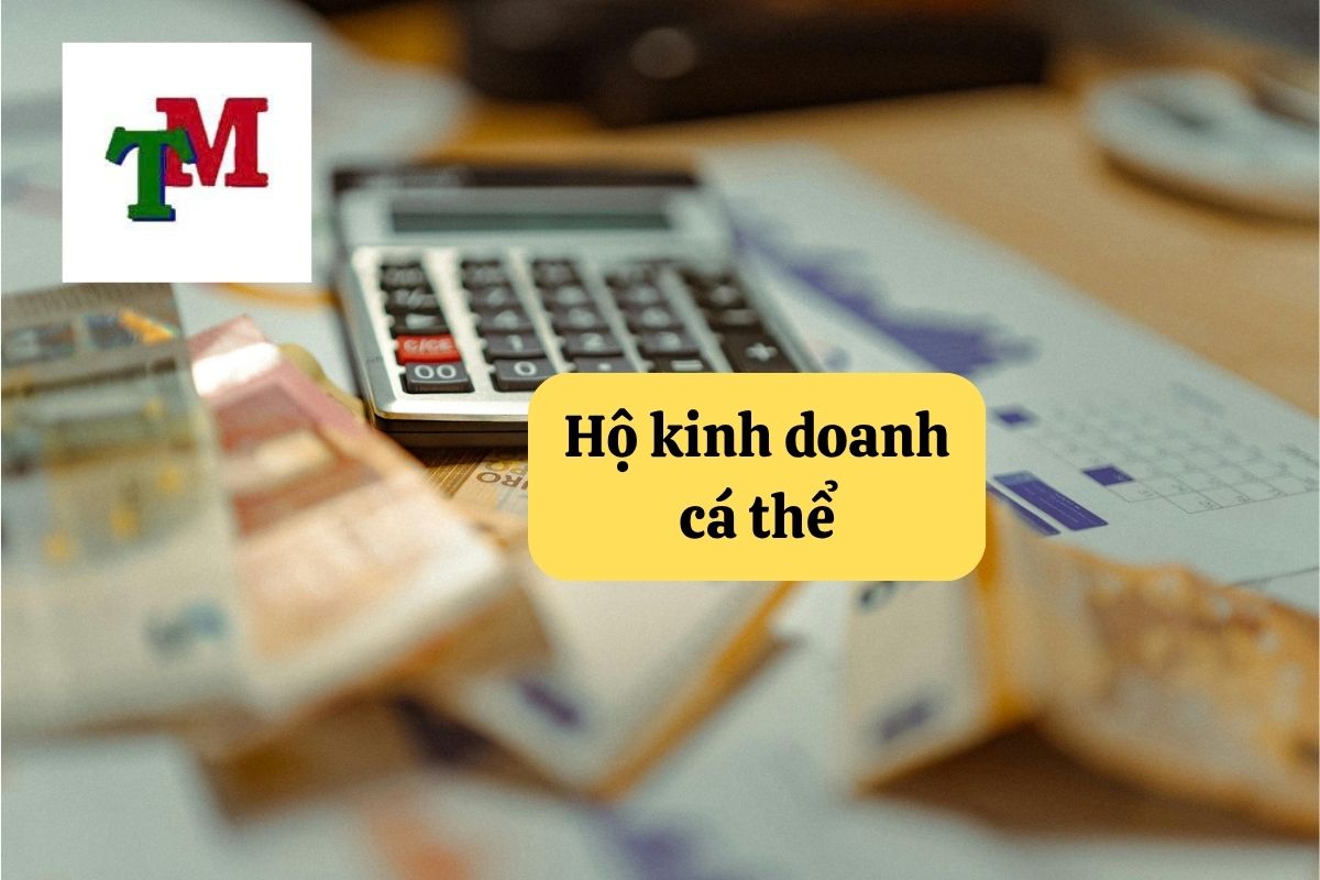 40. ho kinh doanh ca the