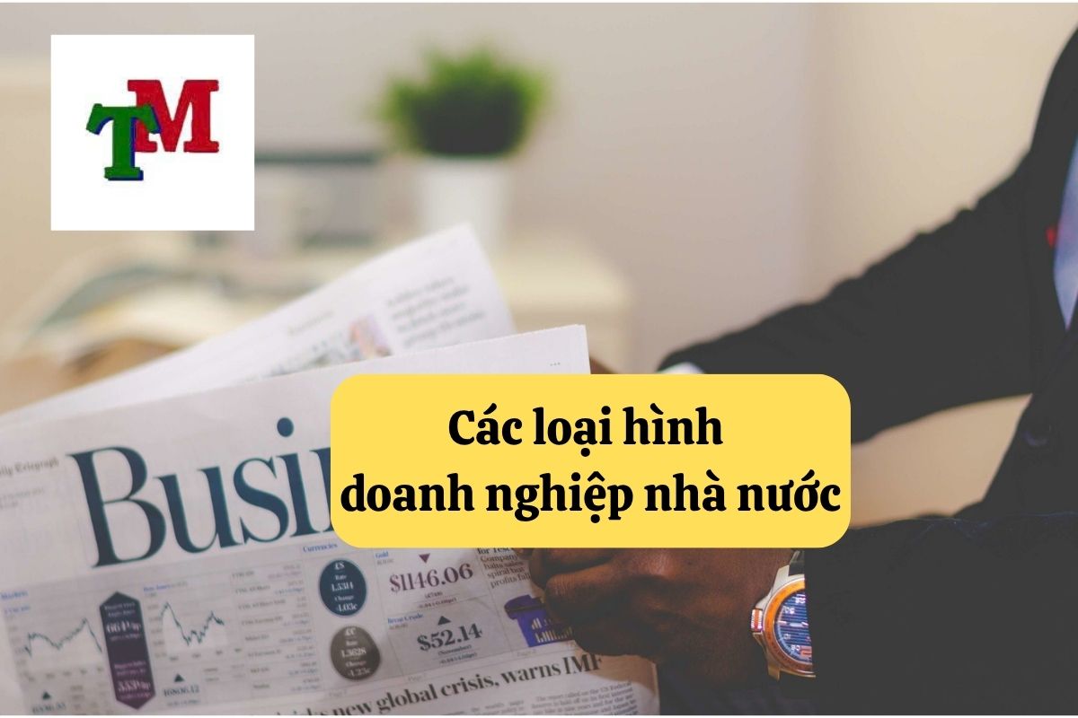 43. doanh nghiep nha nuoc 2