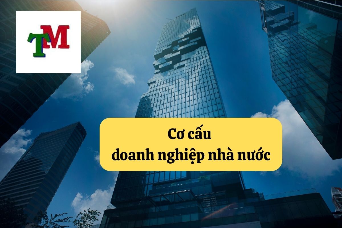 43. doanh nghiep nha nuoc 3