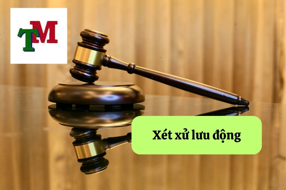 Hiểu biết quy trình xét xử vụ án và quyền lợi của bạn tại tòa án 3 5. Xet xu 3
