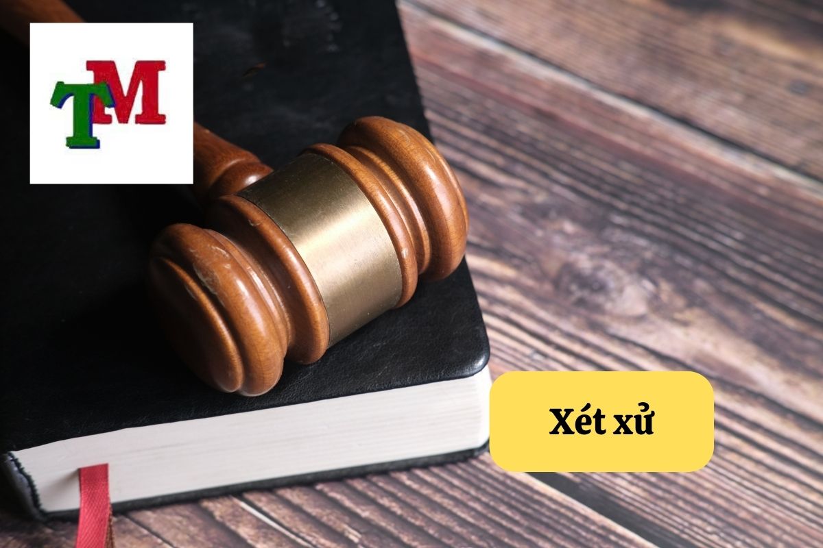 Hiểu biết quy trình xét xử vụ án và quyền lợi của bạn tại tòa án 1 5. Xet