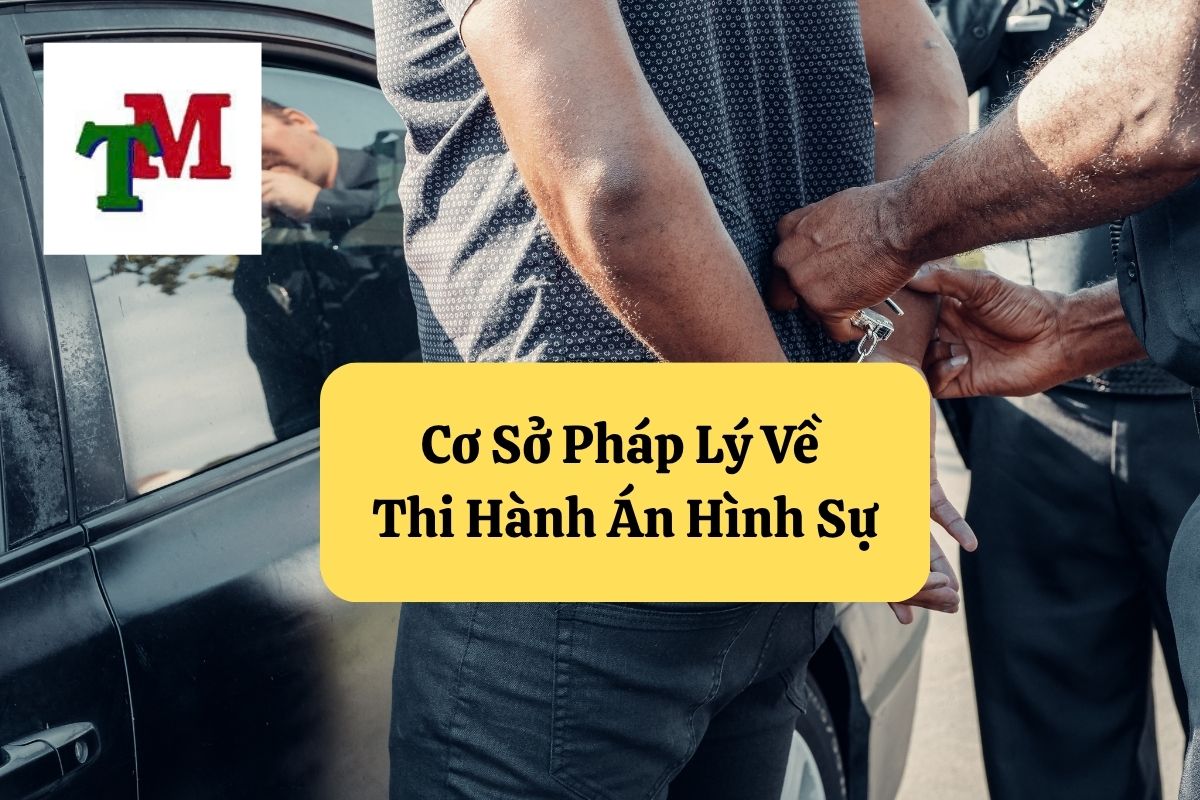 5. thi hanh an hinh su 2