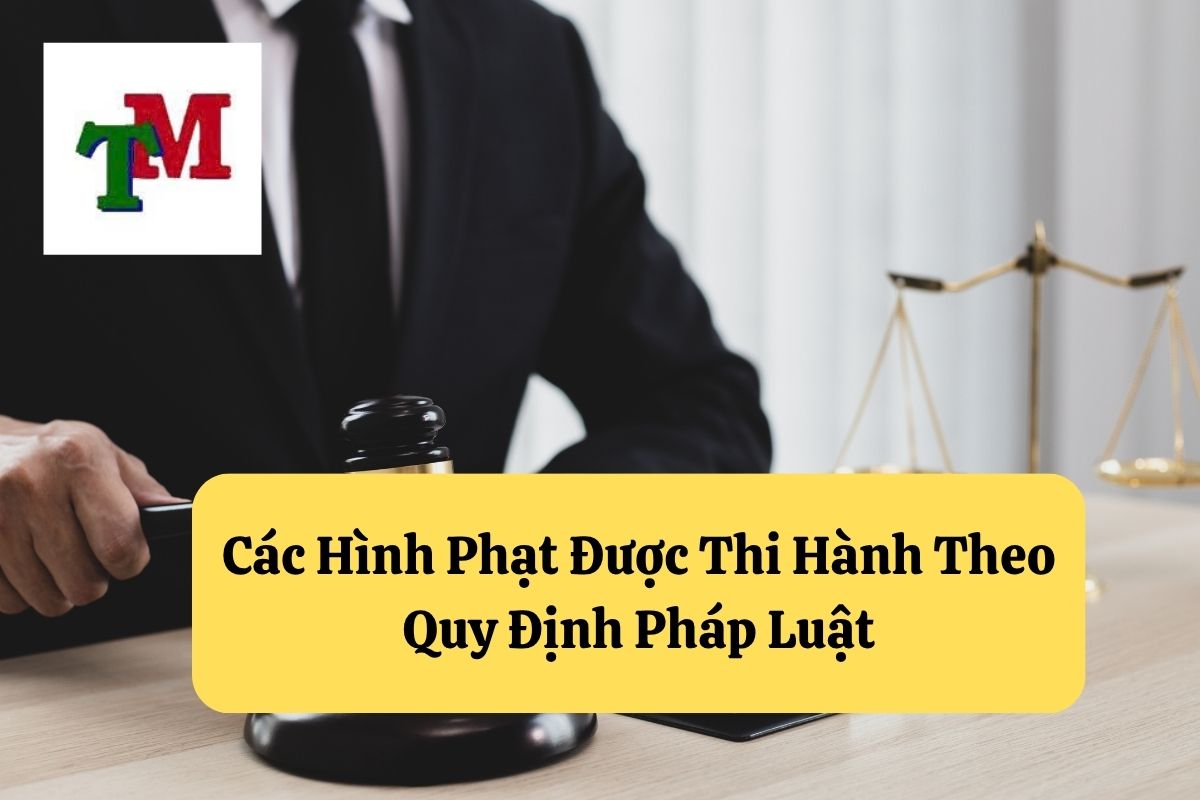 5. thi hanh an hinh su 3