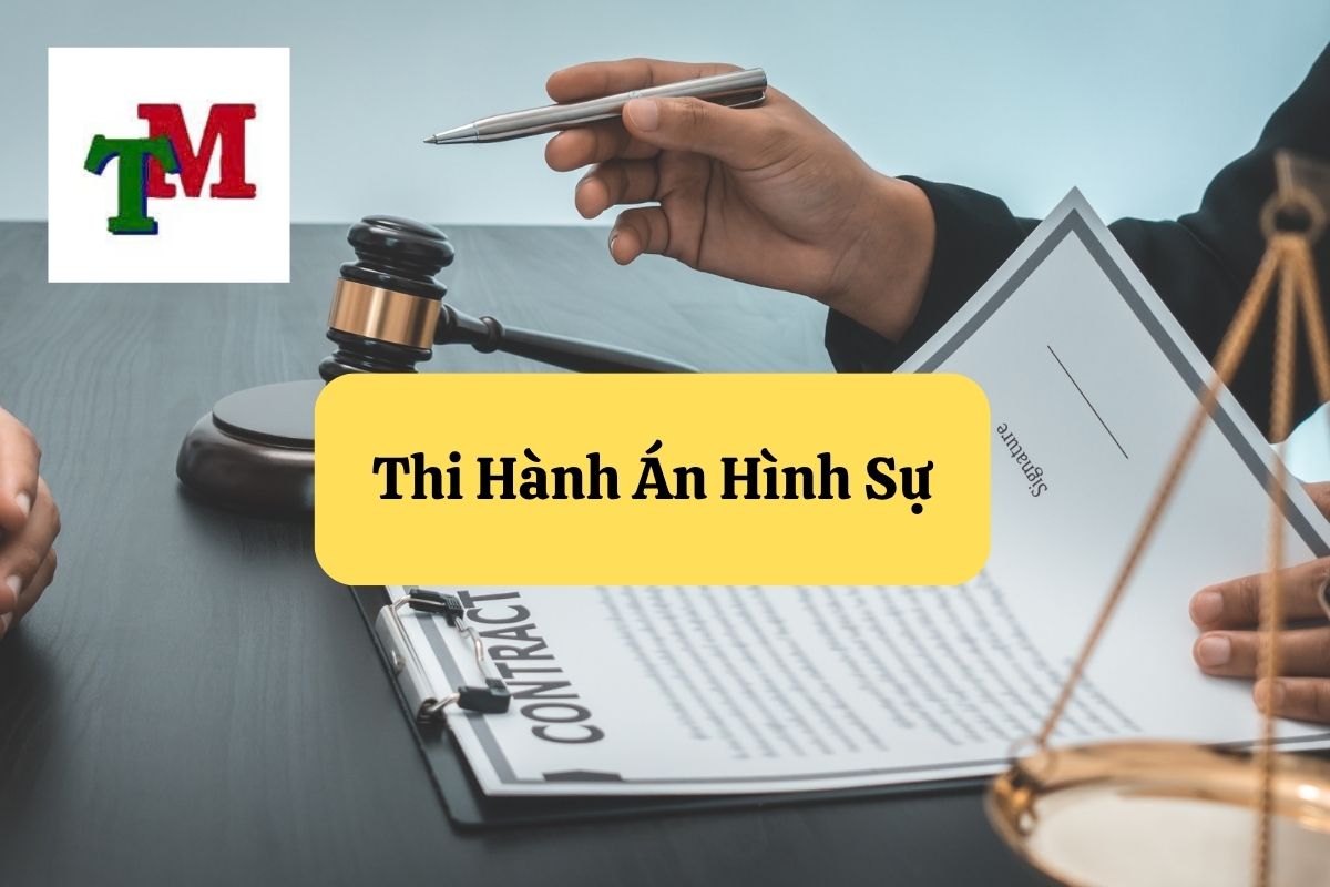 5. thi hanh an hinh su