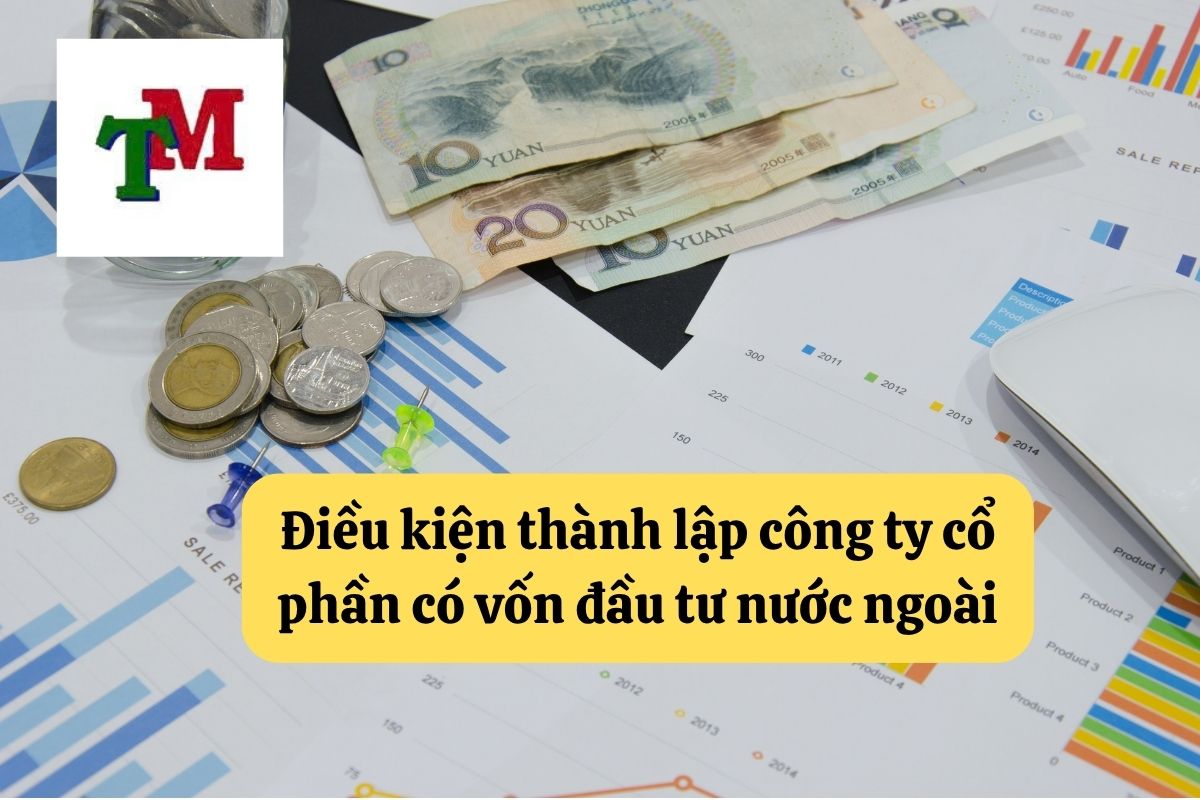 58. cong ty co von dau tu nuoc ngoai 2