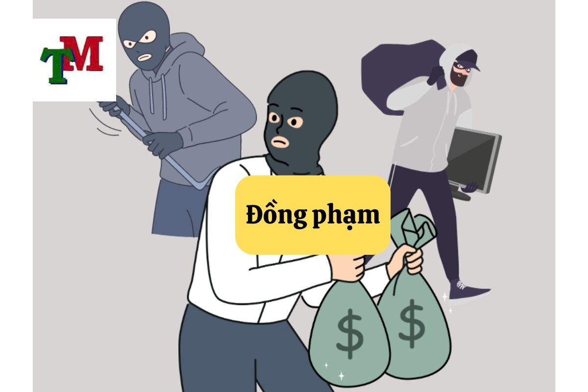 6. Dong pham