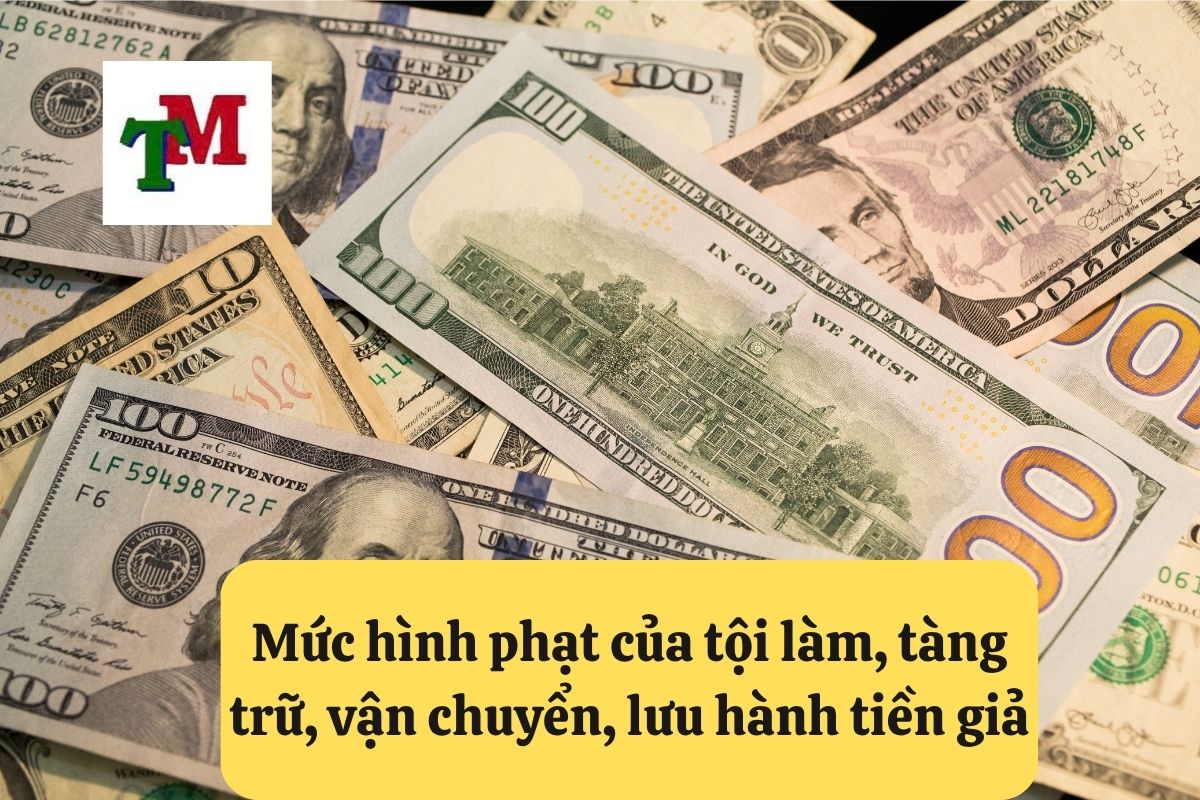 6. Toi lam tang tru van chuyen luu hanh tien gia 2