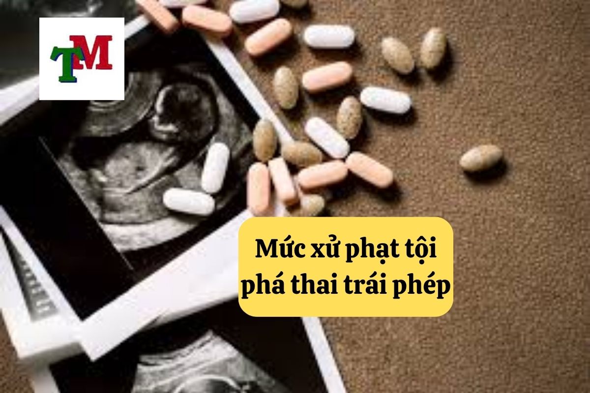 Mức xử phạt tội phá thai trái phép theo Điều 316 Bộ luật Hình sự 2015, được sửa đổi, bổ sung năm 2017