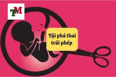 6. Toi pha thai trai phep
