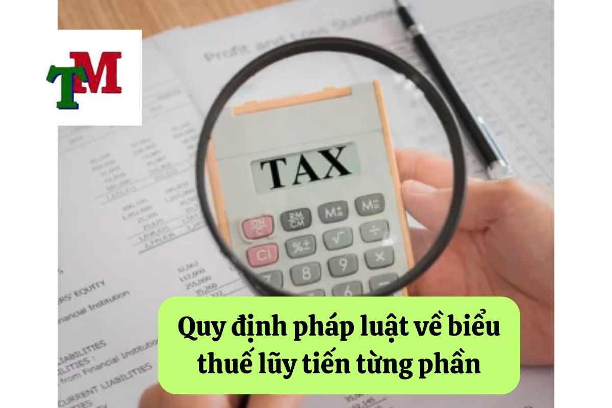 Quy định pháp luật về biểu thuế lũy tiến từng phần