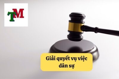 6. giai quyet vu viec dan su