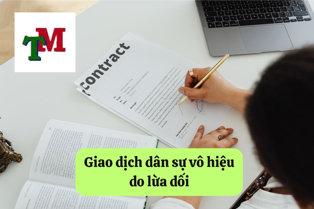 6. giao dich dan su vo hieu 3