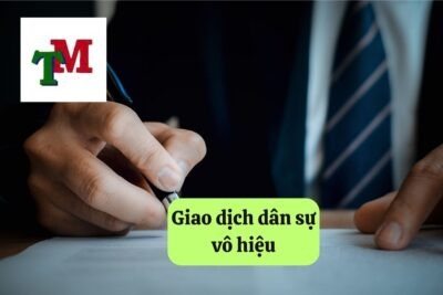 Giao dịch dân sự vô hiệu: Quy định pháp luật và các trường hợp cụ thể 15 6. giao dich dan su vo hieu 4