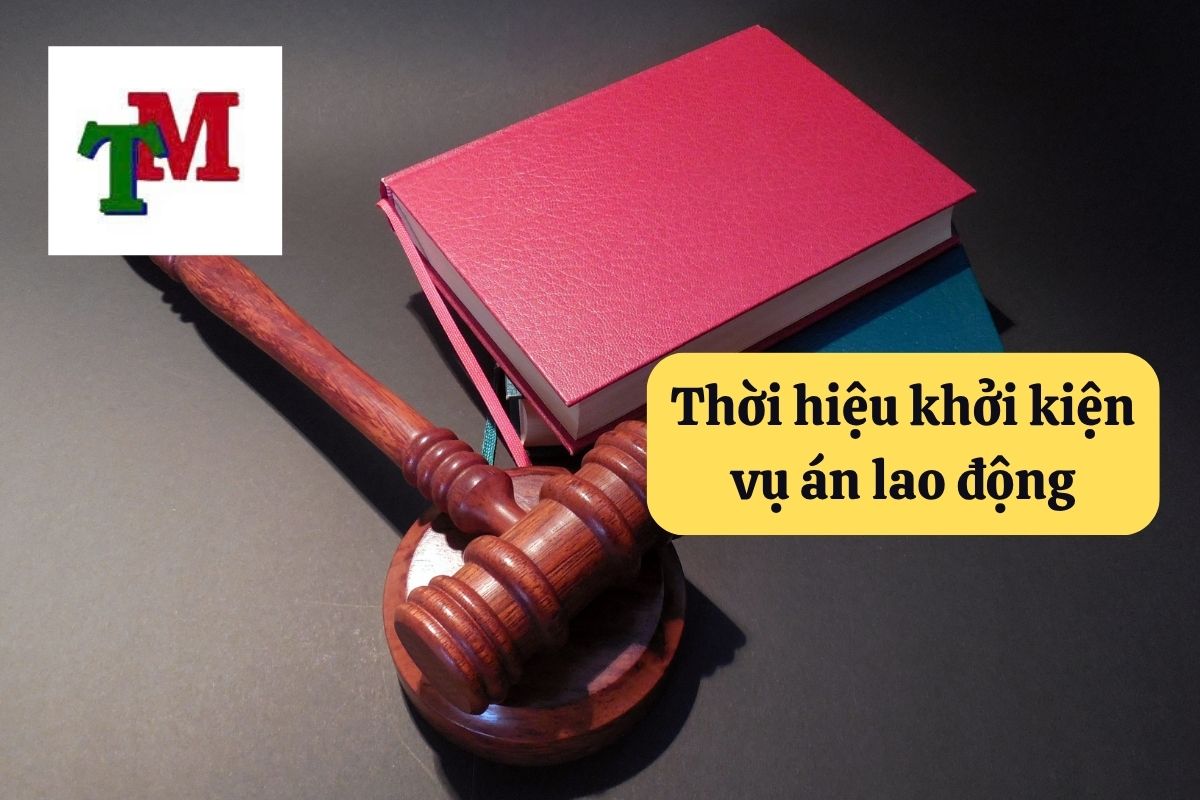 Khởi kiện vụ án lao động: Quy định pháp luật và hướng dẫn chi tiết 3 6. khoi kien vu an lao dong 3