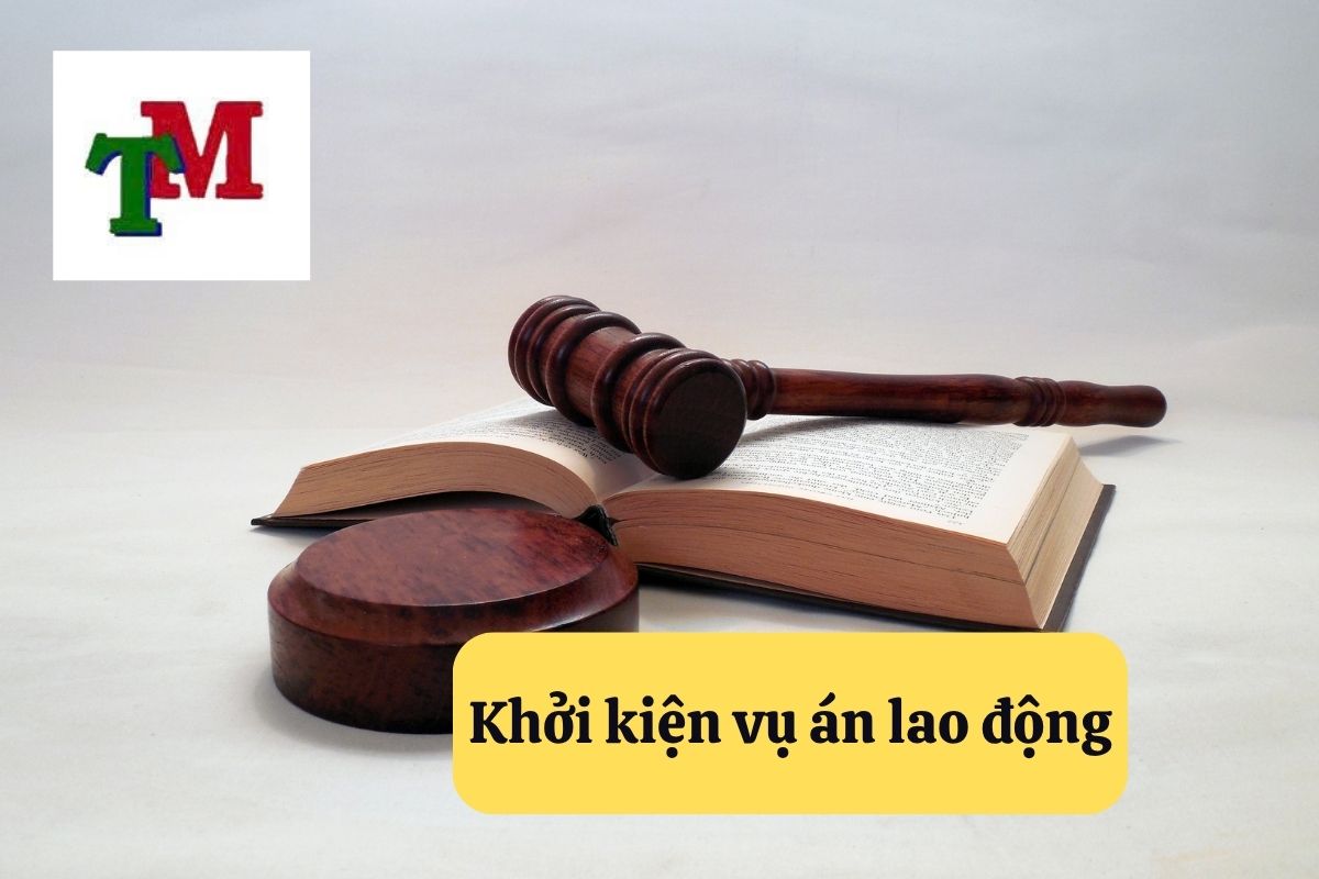 Khởi kiện vụ án lao động: Quy định pháp luật và hướng dẫn chi tiết 1 6. khoi kien vu an lao dong