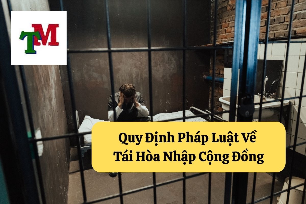 Tái Hòa Nhập Cộng Đồng: Quy Định Pháp Luật và Những Điều Cần Biết 2 6. tai hoa nhap cong dong 2