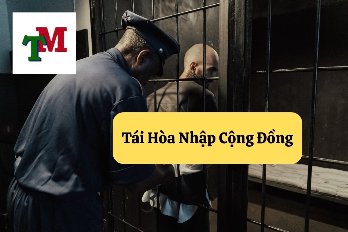 Tái Hòa Nhập Cộng Đồng: Quy Định Pháp Luật và Những Điều Cần Biết 1 6. tai hoa nhap cong dong