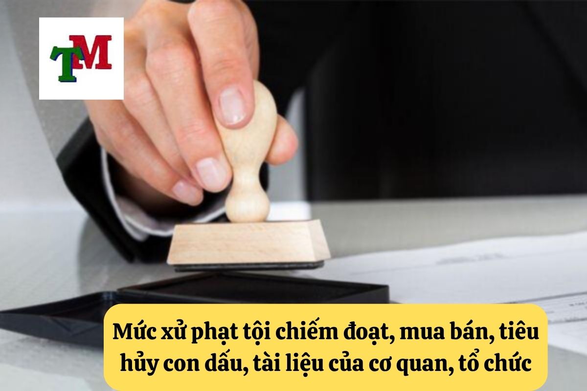 Tội chiếm đoạt, mua bán, tiêu hủy con dấu, tài liệu của cơ quan, tổ chức – 5 tư vấn từ Luật sư cần biết 2 Mức xử phạt tội chiếm đoạt, mua bán, tiêu hủy con dấu, tài liệu của cơ quan, tổ chức theo Điều 342 Bộ luật Hình sự 2015, được sửa đổi, bổ sung năm 2017