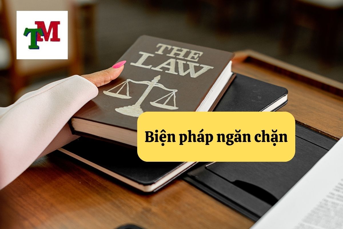 7 biện pháp ngăn chặn trong tố tụng hình sự: tạm giữ, tạm giam, cấm đi khỏi nơi cư trú... 1 7. bien phap ngan chan