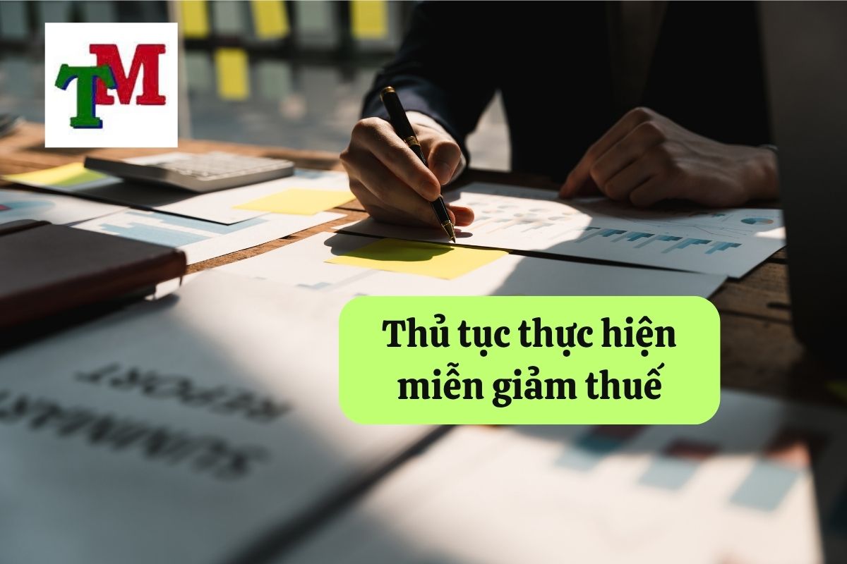 7. chinh sach mien giam thue 3