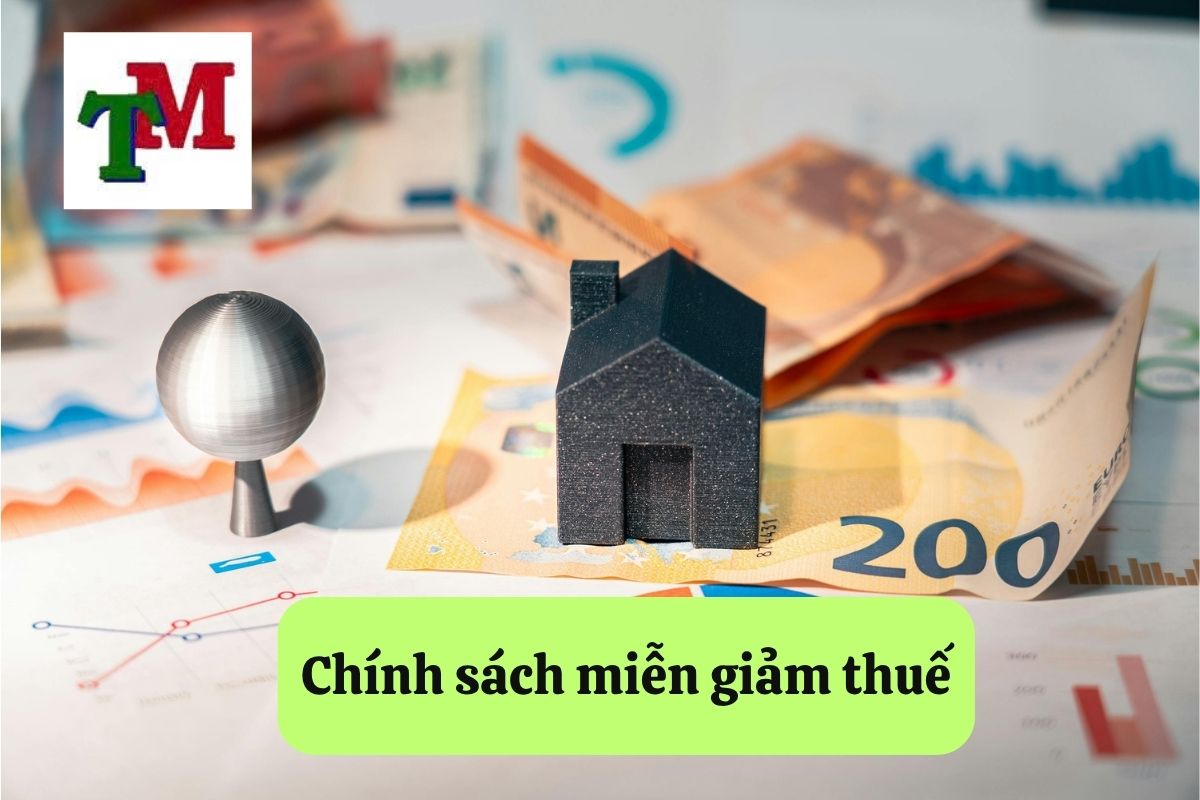 7. chinh sach mien giam thue