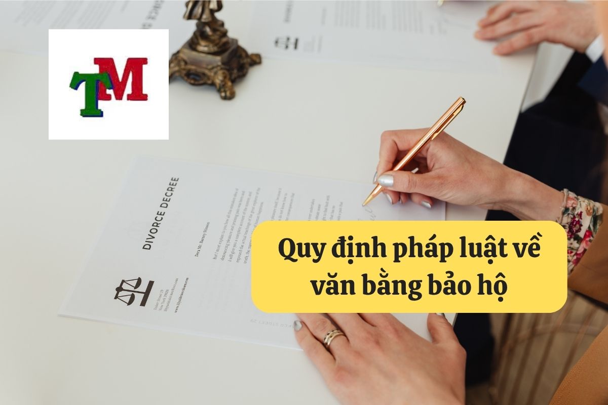 Văn bằng bảo hộ: Hướng dẫn chi tiết xin cấp tại Luật Thiên Mã 2 7. van bang bao ho 2