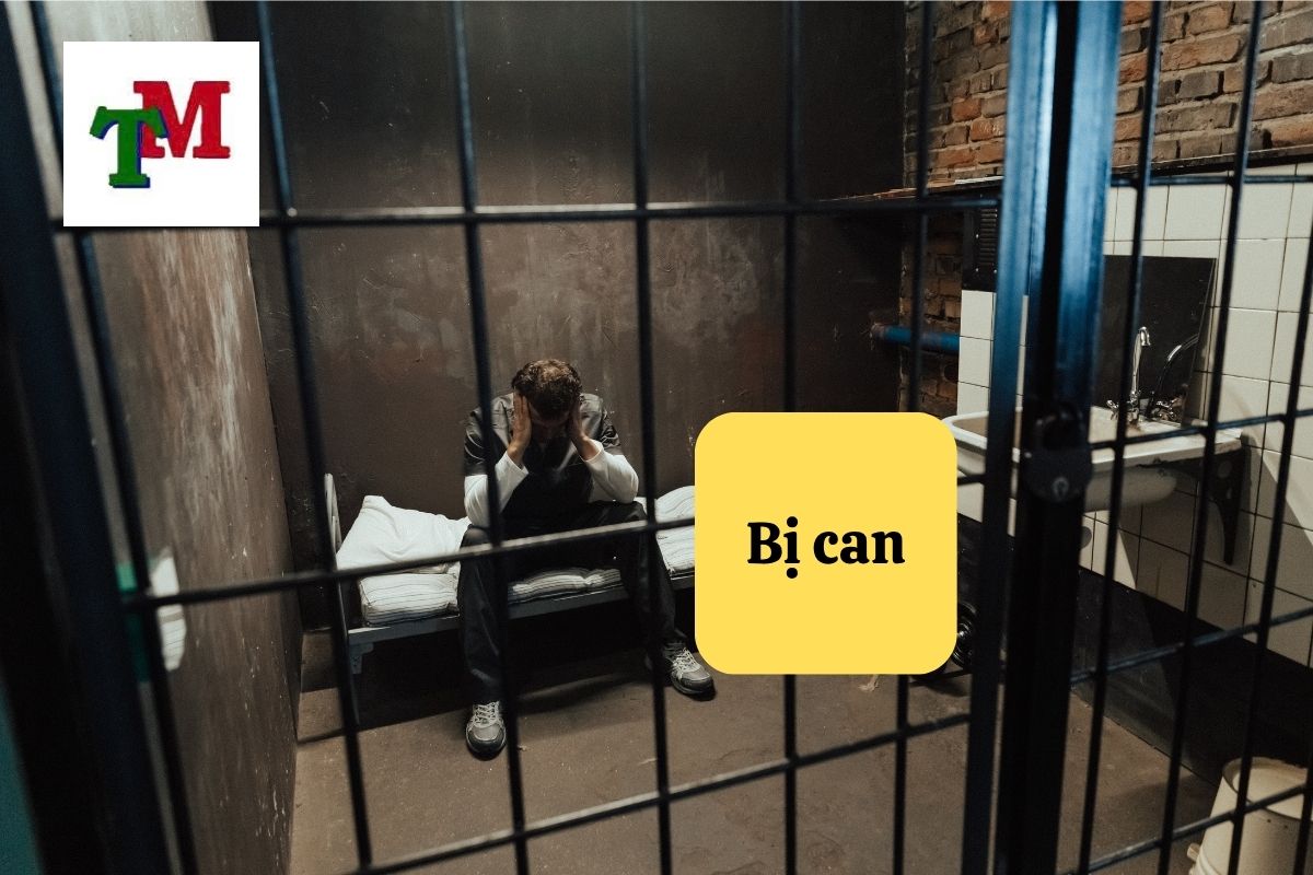 Bị can là ai trong quy trình tố tụng hình sự? 1 8. bi can