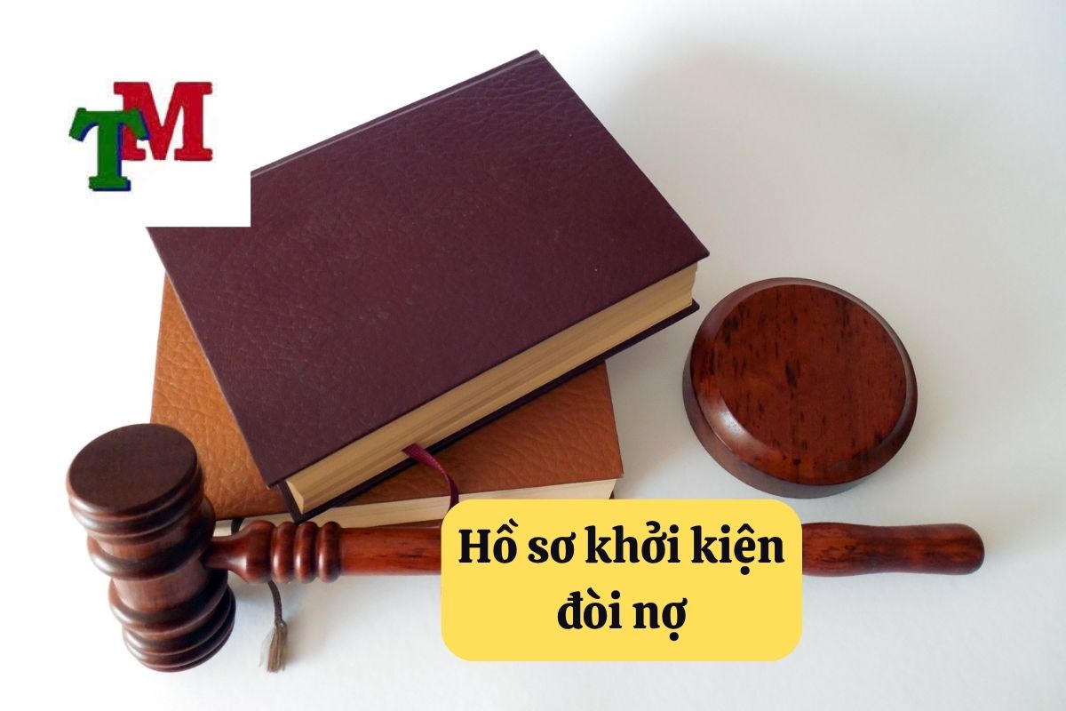 8. khoi kien doi no 2