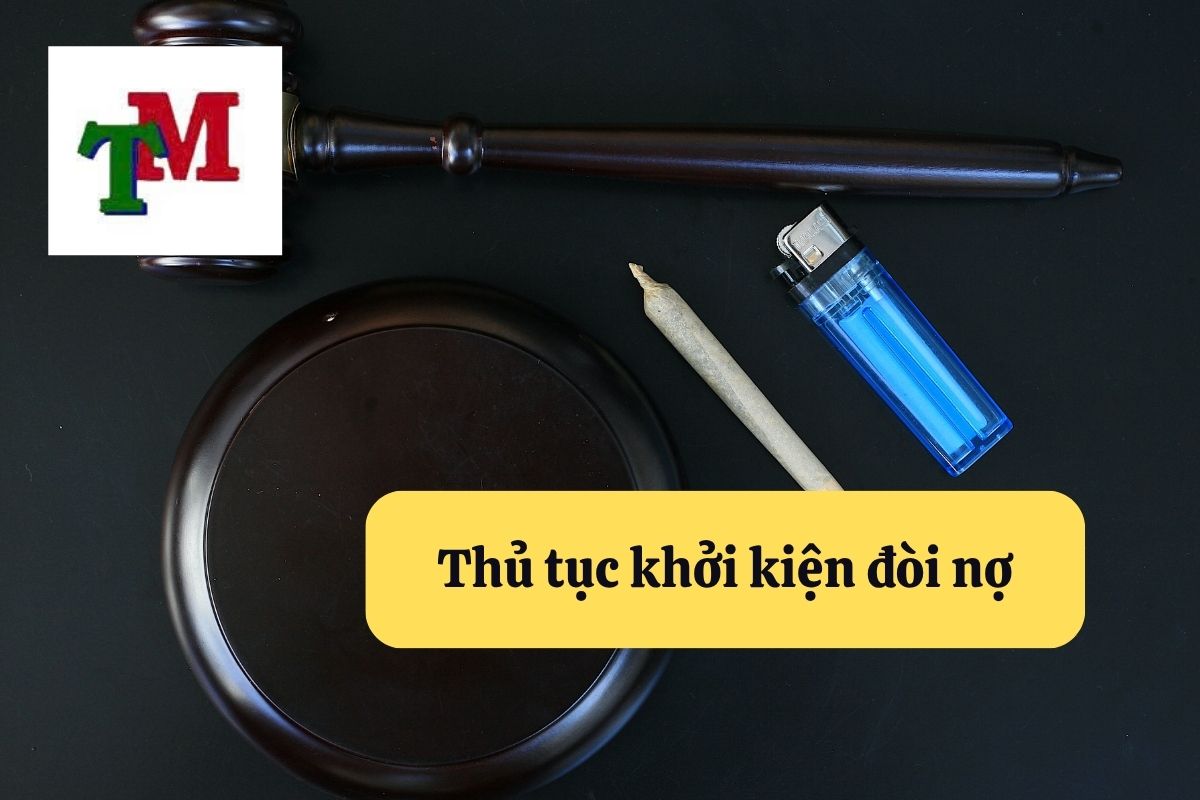 8. khoi kien doi no 3