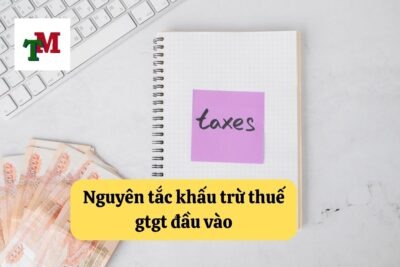 8. nguyen tac khau tru thue gtgt dau vao