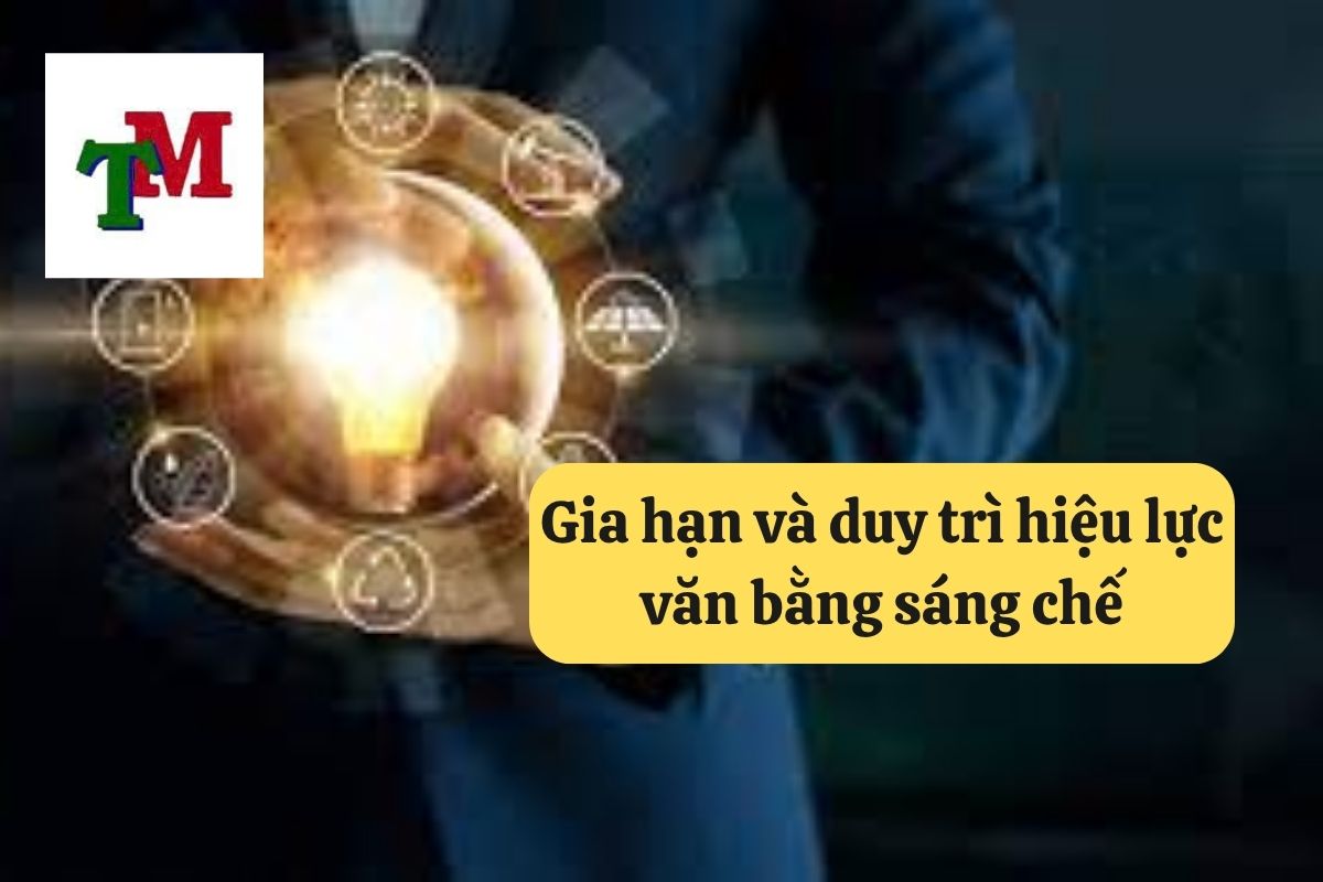 8. thoi han bao ho doi voi sang che 3