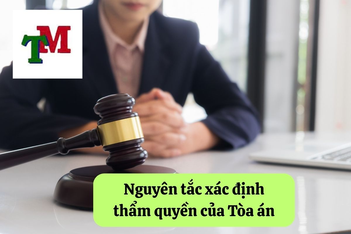 8. xac dinh tham quyen cua toa an 2