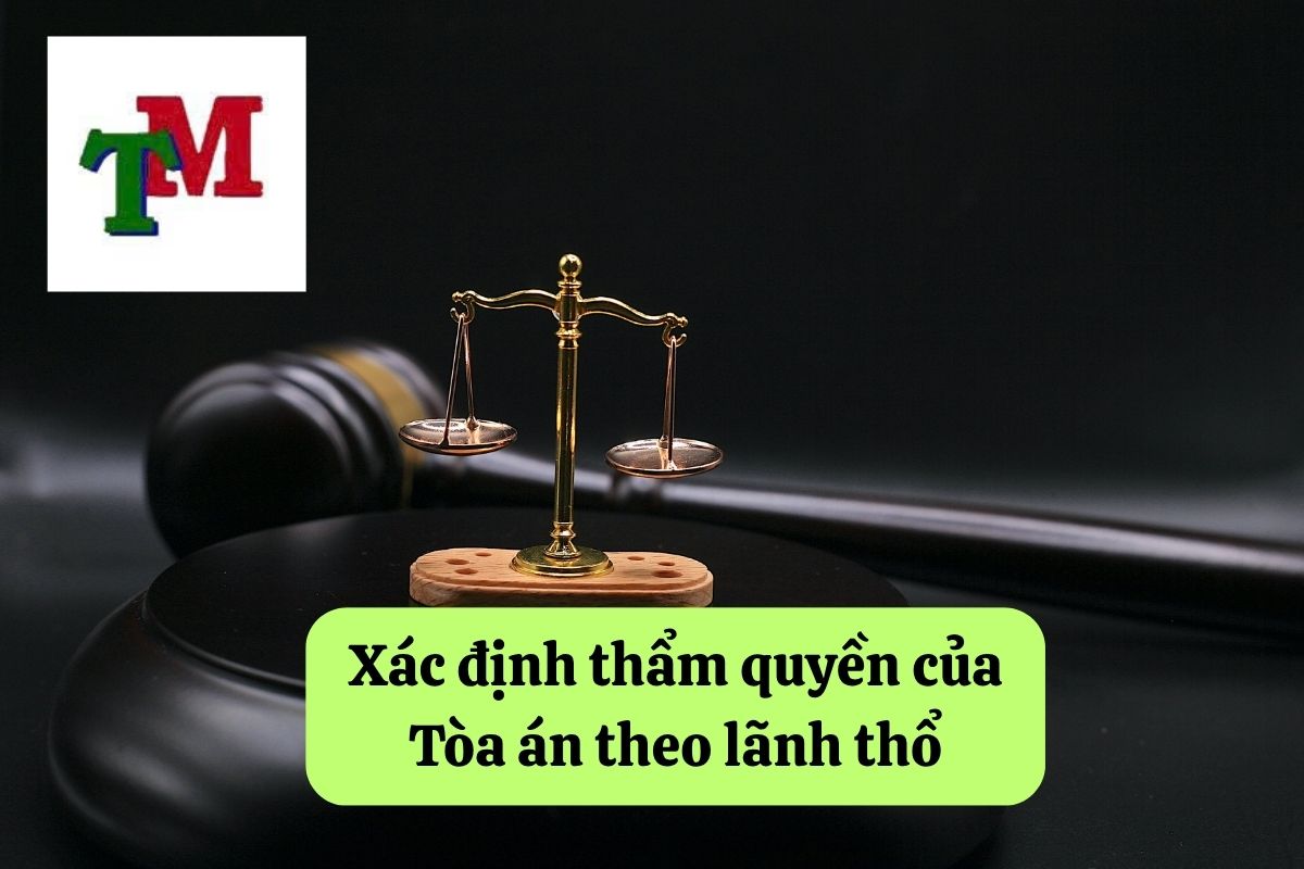 8. xac dinh tham quyen cua toa an 3