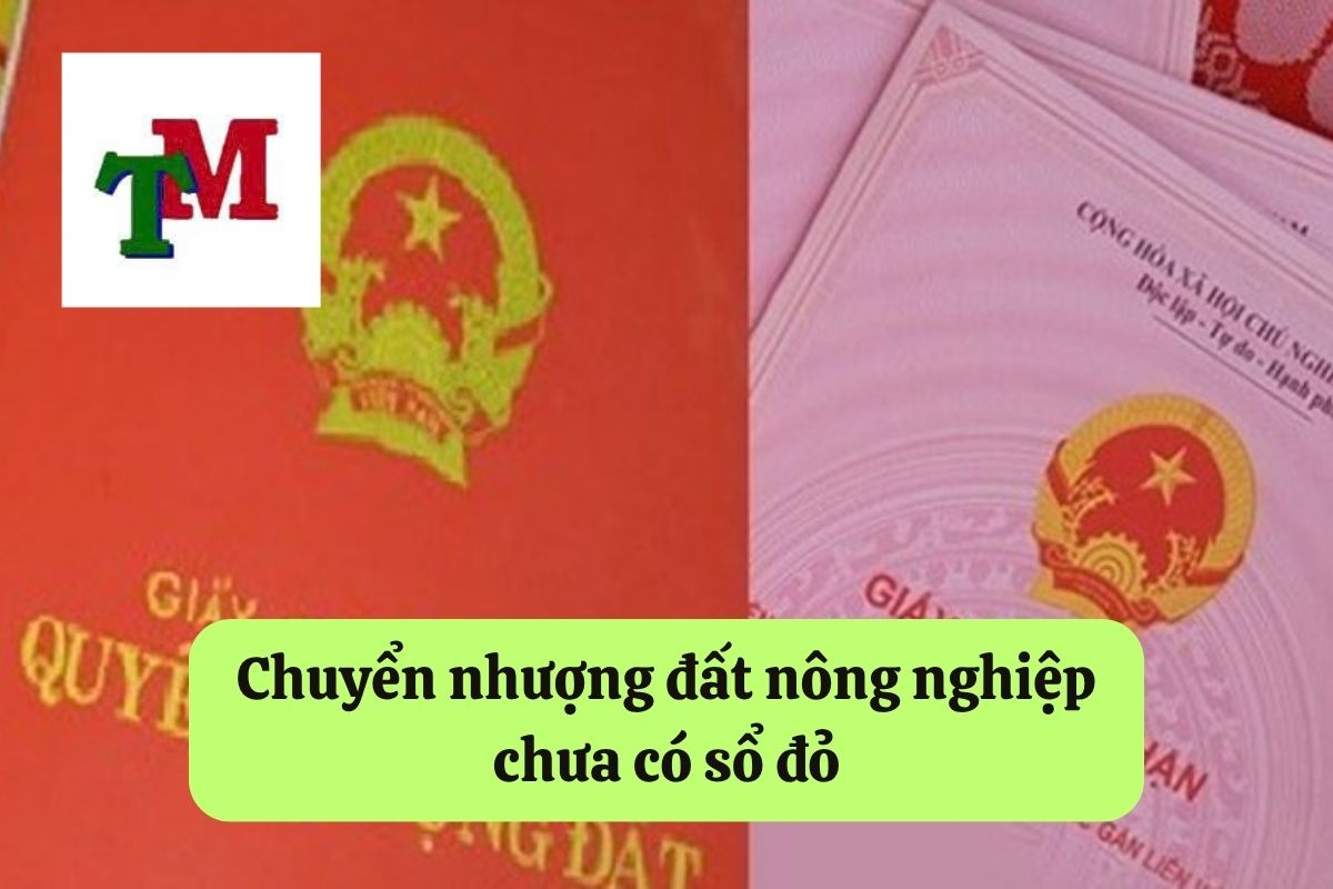 Chưa sang tên sổ đỏ có bán được không: Quy định pháp luật và thủ tục 2 Chuyển nhượng đất nông nghiệp chưa có sổ đỏ
