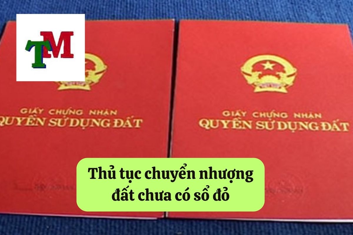 Chưa sang tên sổ đỏ có bán được không: Quy định pháp luật và thủ tục 3 Thủ tục chuyển nhượng đất chưa có sổ đỏ