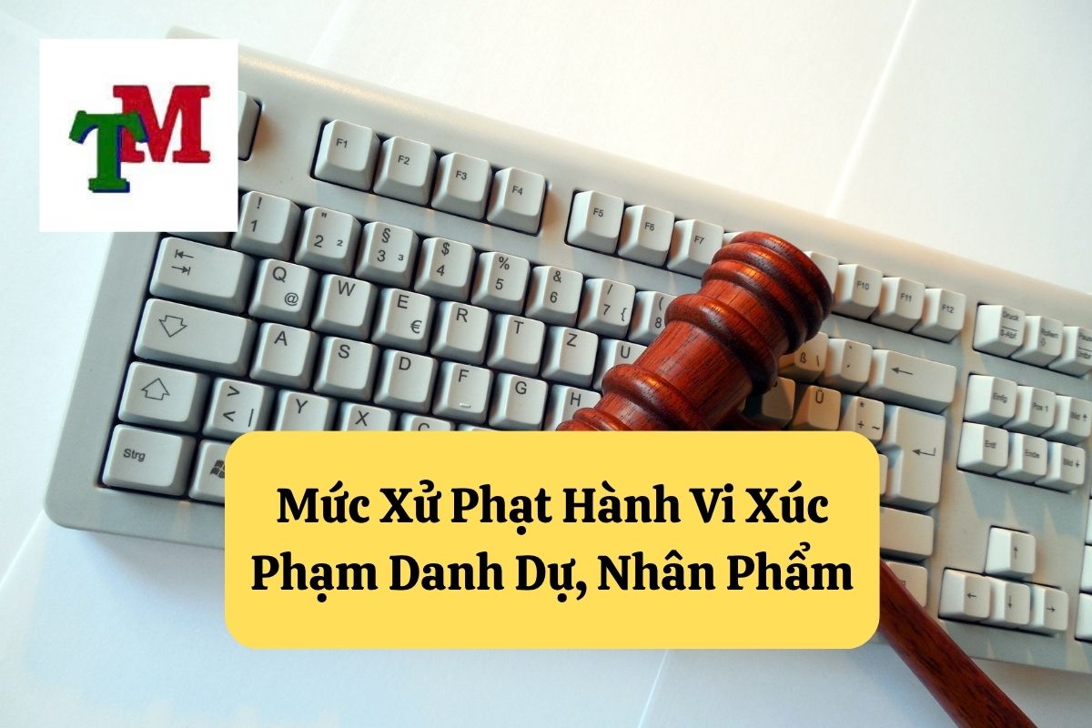 9. toi xuc pham danh du nhan pham nguoi khac 3