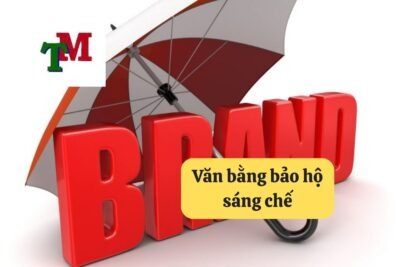 Văn bằng bảo hộ sáng chế: Hướng dẫn chi tiết xin cấp tại Luật Thiên Mã 11 9. van bang bao ho sang che