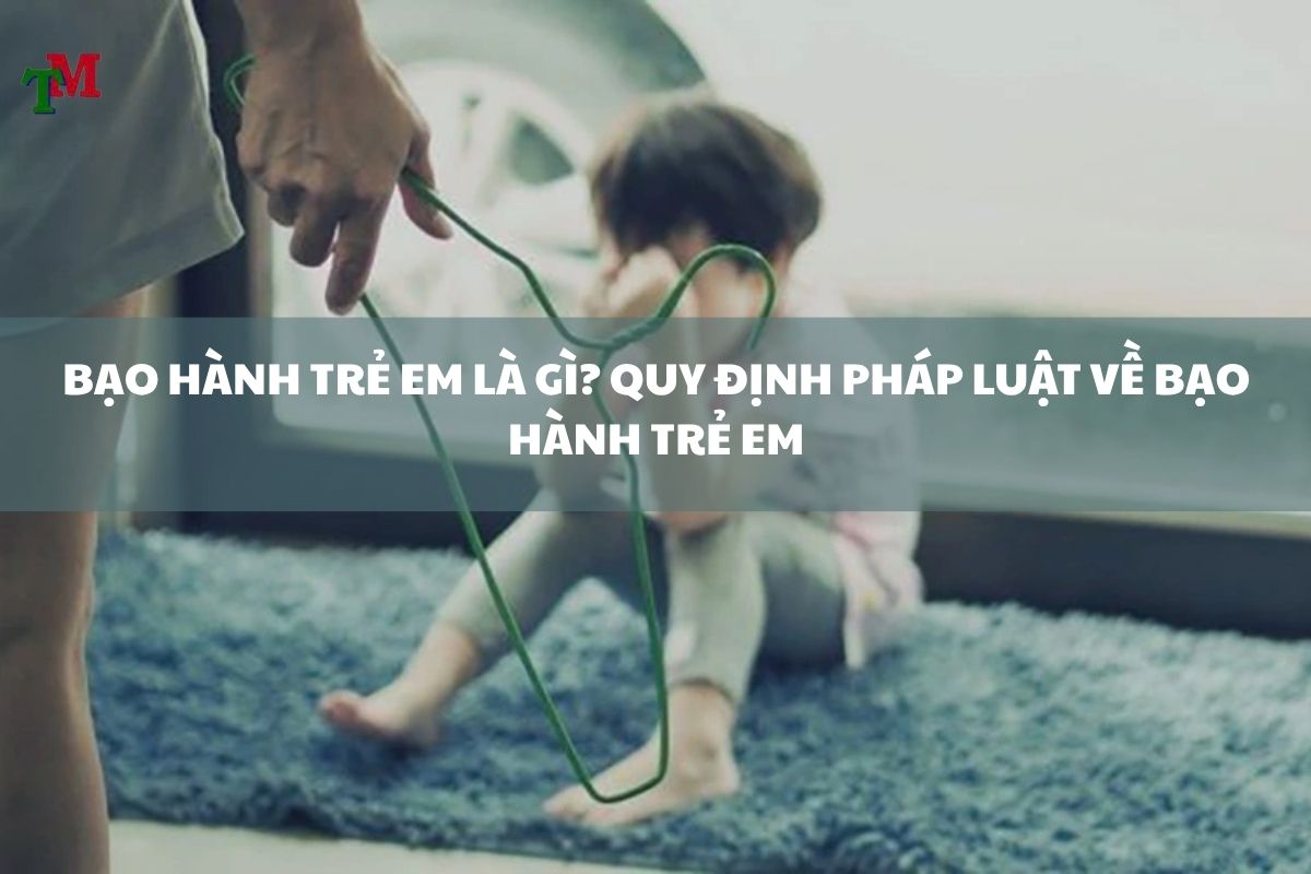 BẠO HÀNH TRẺ EM LÀ GÌ? QUY ĐỊNH PHÁP LUẬT VỀ BẠO HÀNH TRẺ EM