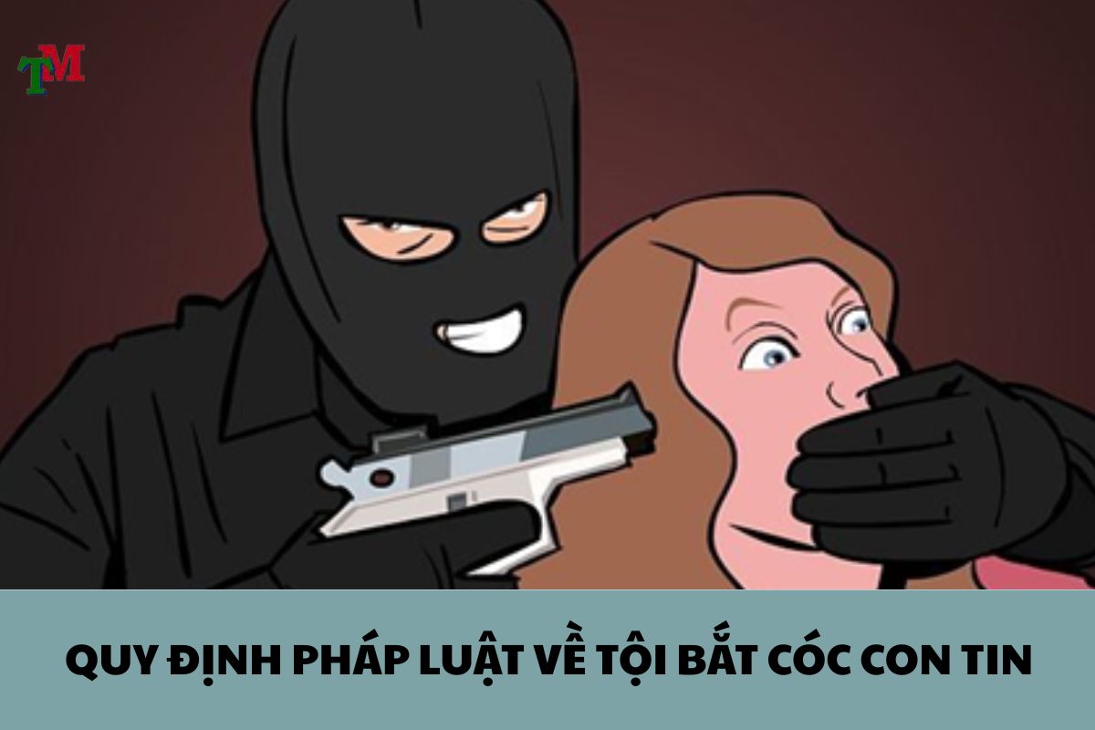 QUY ĐỊNH PHÁP LUẬT VỀ TỘI BẮT CÓC CON TIN