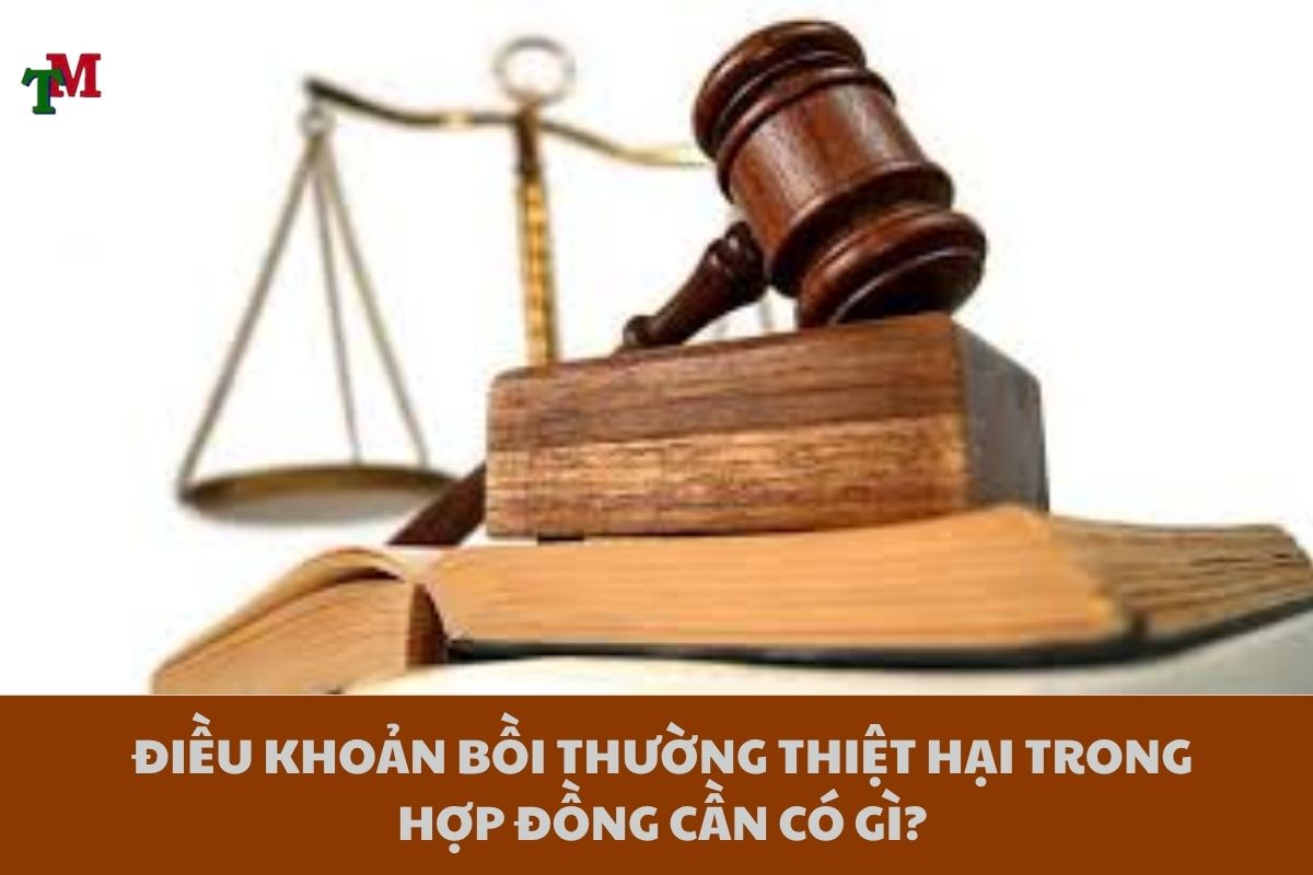 BOI THUONG THIET HAI TRONG HOP DONG 3