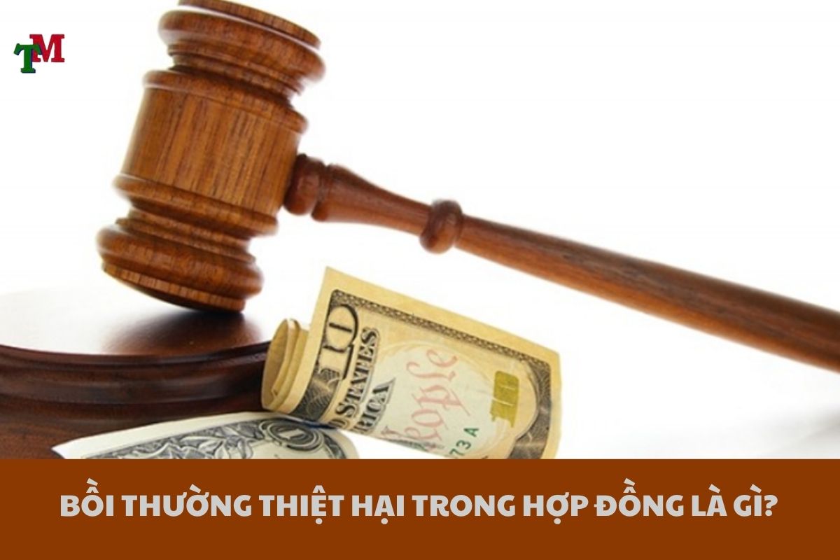BOI THUONG THIET HAI TRONG HOP DONG