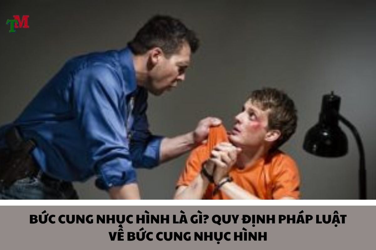 BỨC CUNG NHỤC HÌNH LÀ GÌ? QUY ĐỊNH PHÁP LUẬT VỀ BỨC CUNG NHỤC HÌNH