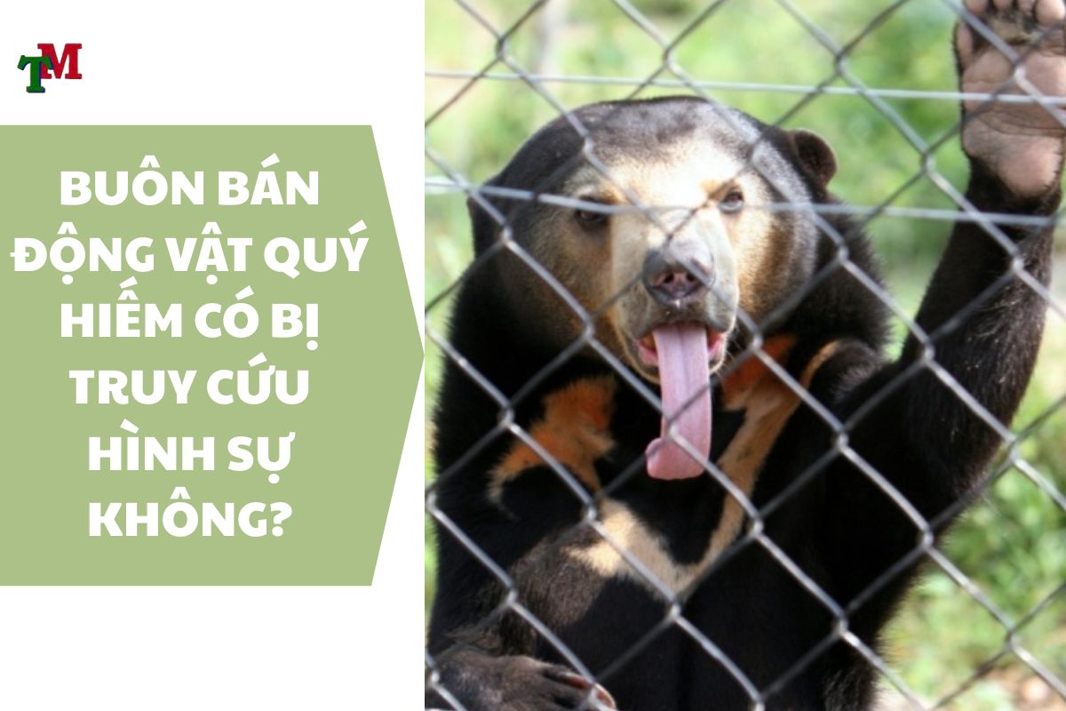 Buôn bán động vật quý hiếm: Cảnh báo pháp lý và 5 quy định xử lý nghiêm khắc 2 BUÔN BÁN ĐỘNG VẬT QUÝ HIẾM CÓ BỊ TRUY CỨU HÌNH SỰ KHÔNG?