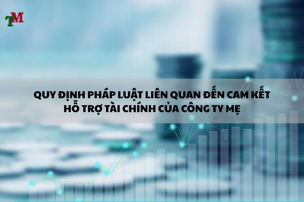 CAM KET HO TRO TAI CHINH CUA CONG TY ME 2