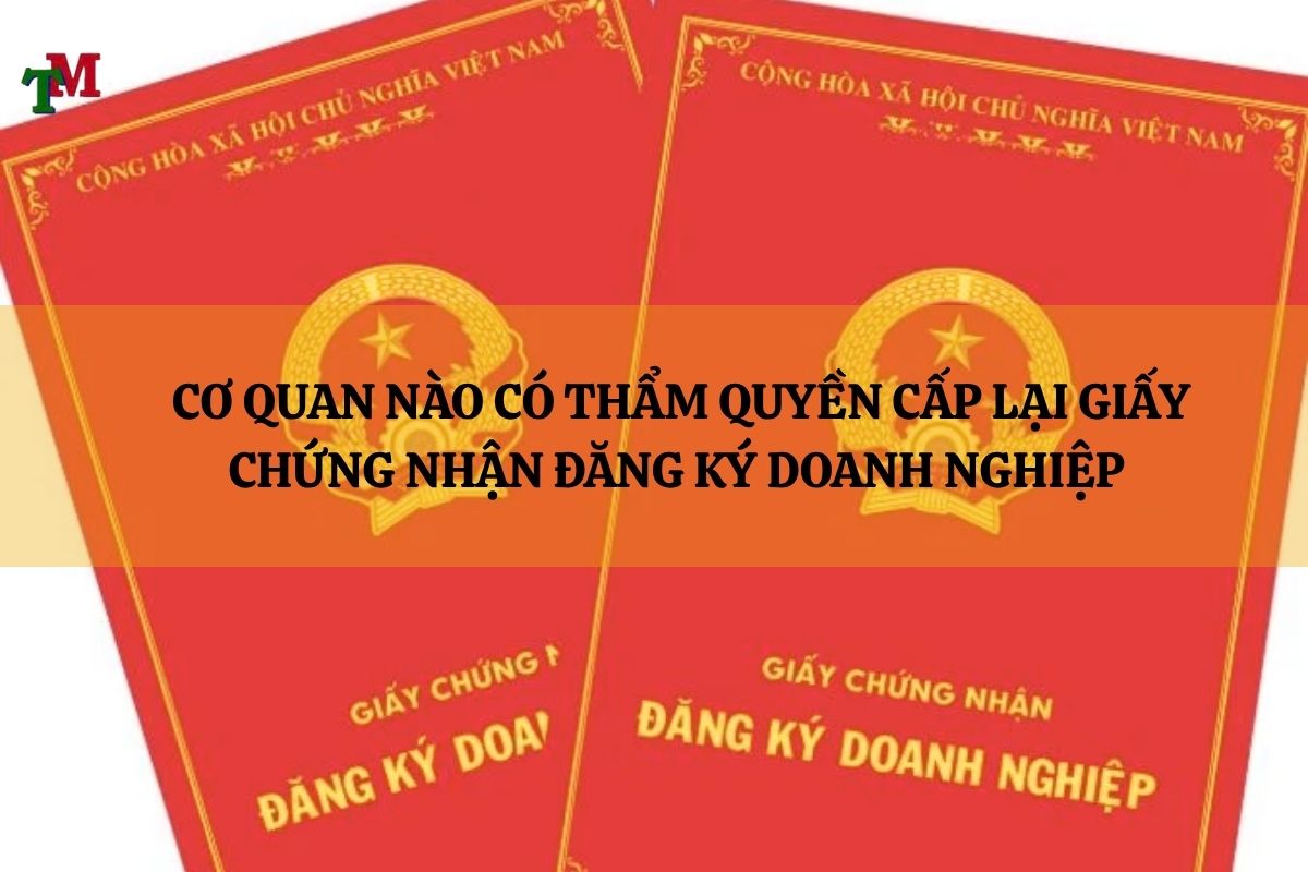 CAP LAI GIAY CHUNG NHAN DANG KY DOANH NGHIEP 2