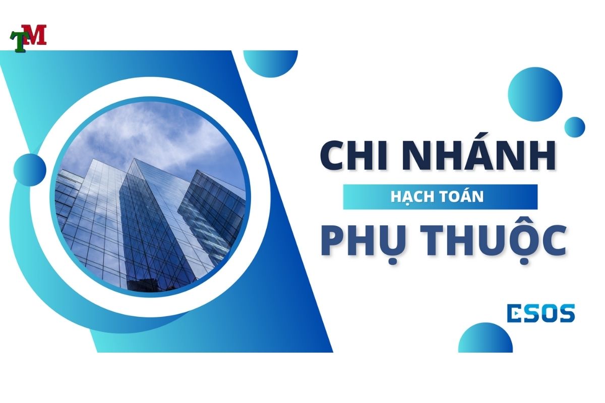 Chi nhánh hạch toán phụ thuộc kê khai thuế: Quy định & thủ tục doanh nghiệp cần biết 1 CHI NHANH HACH TOAN PHU THUOC KE KHAI THUE 1