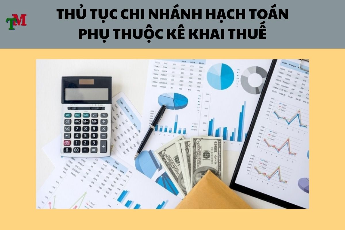 Chi nhánh hạch toán phụ thuộc kê khai thuế: Quy định & thủ tục doanh nghiệp cần biết 2 CHI NHANH HACH TOAN PHU THUOC KE KHAI THUE 2