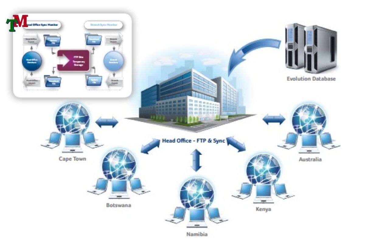 Chi nhánh hạch toán phụ thuộc kê khai thuế: Quy định & thủ tục doanh nghiệp cần biết 3 CHI NHANH HACH TOAN PHU THUOC KE KHAI THUE 3