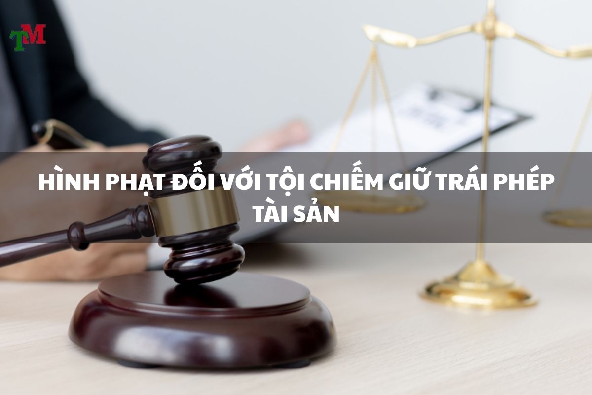 CHIEM GIU TAI SAN 3